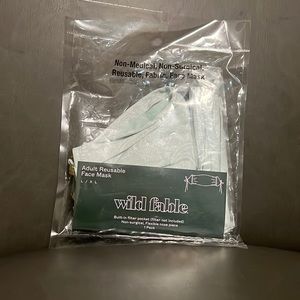 Adult reusable face mask
